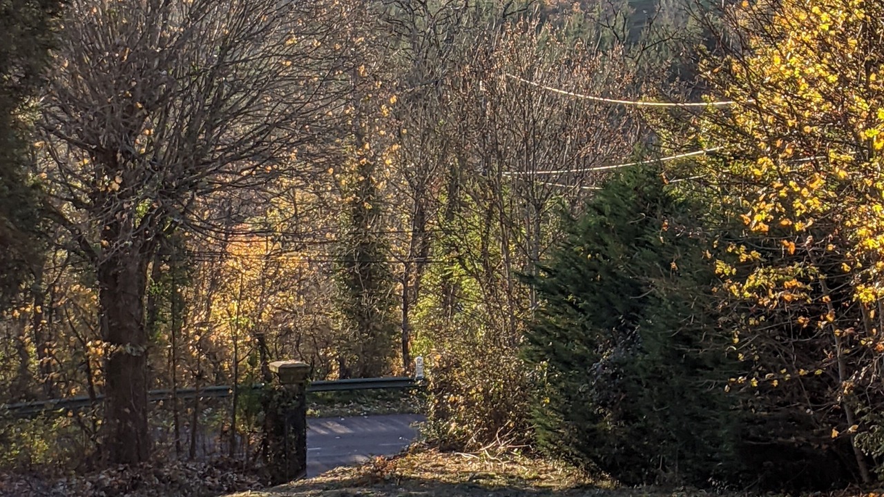 Photo of Others in Chissey-en-Morvan