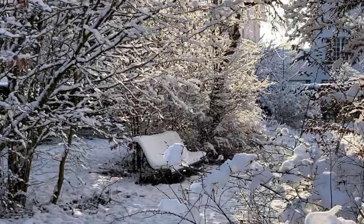 Photo of Outdoor in Vittel
