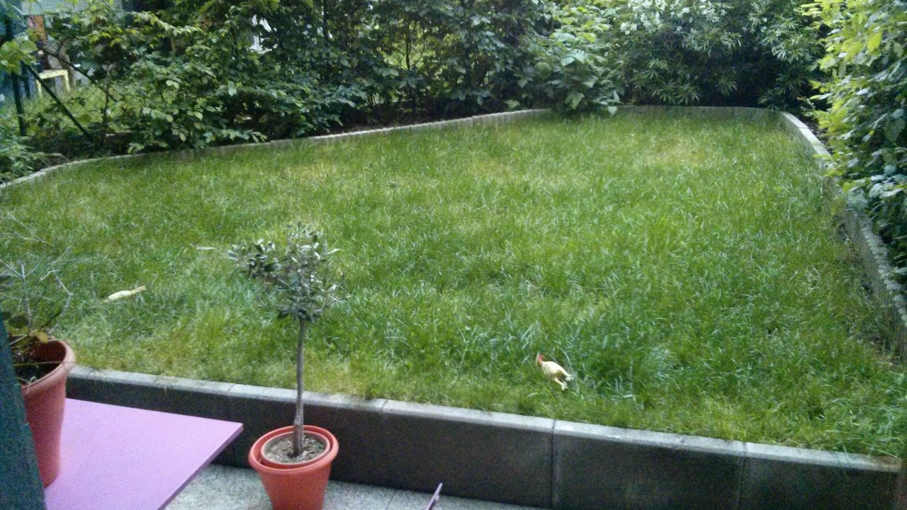 Photo of Outdoor in Chatenay-Malabry