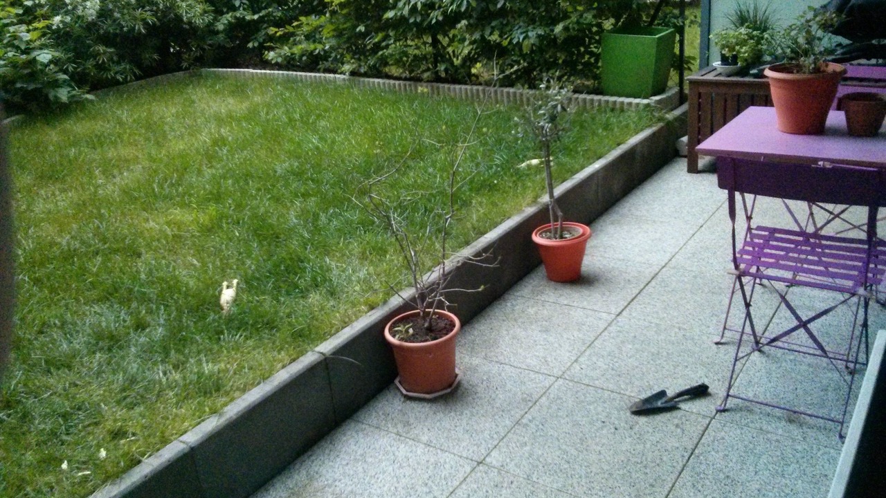 Photo of Outdoor in Chatenay-Malabry