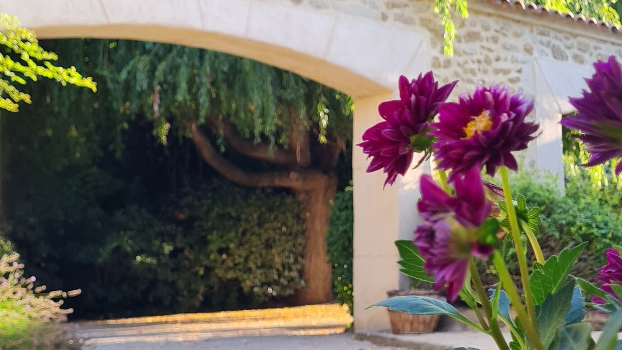 Photo of Outdoor in Grillon