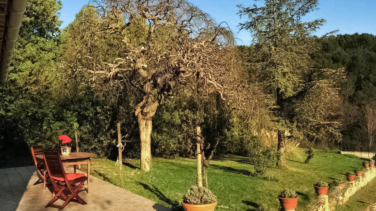 Photo of Others in Visan