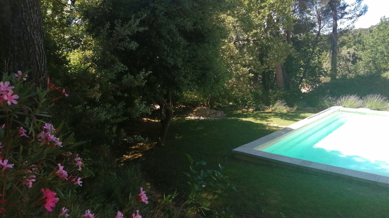 Photo of Outdoor in Buisson