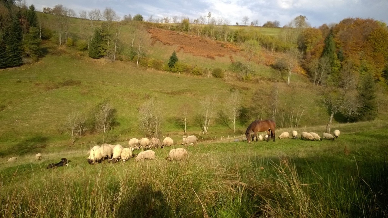 Photo of Outdoor in Girmont-Val-d'Ajol