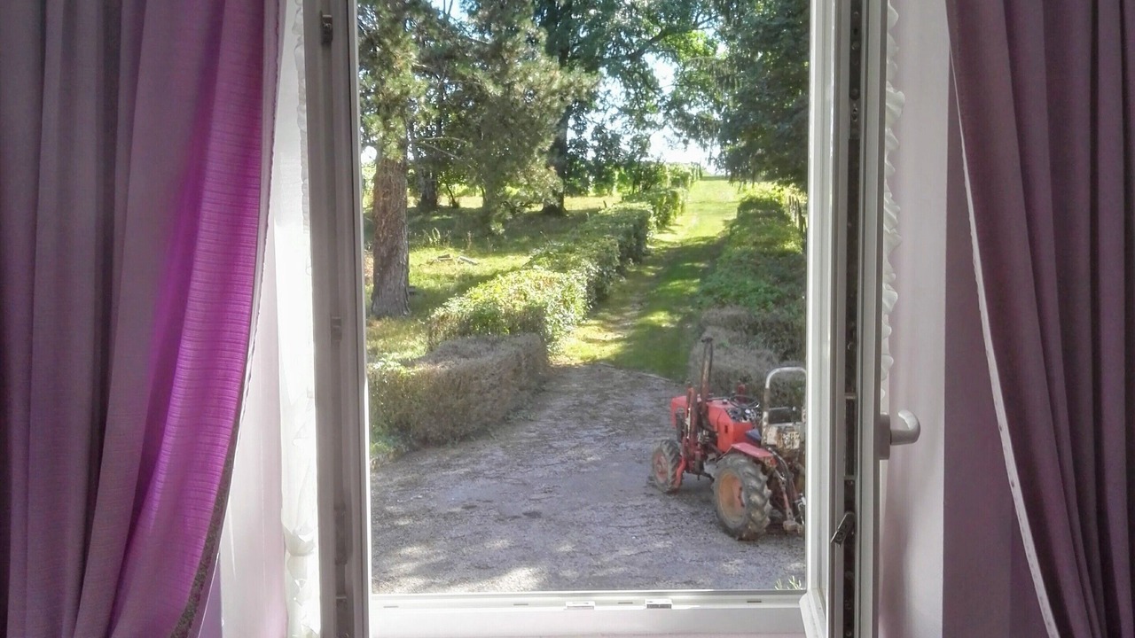 Photo of Others in Chille