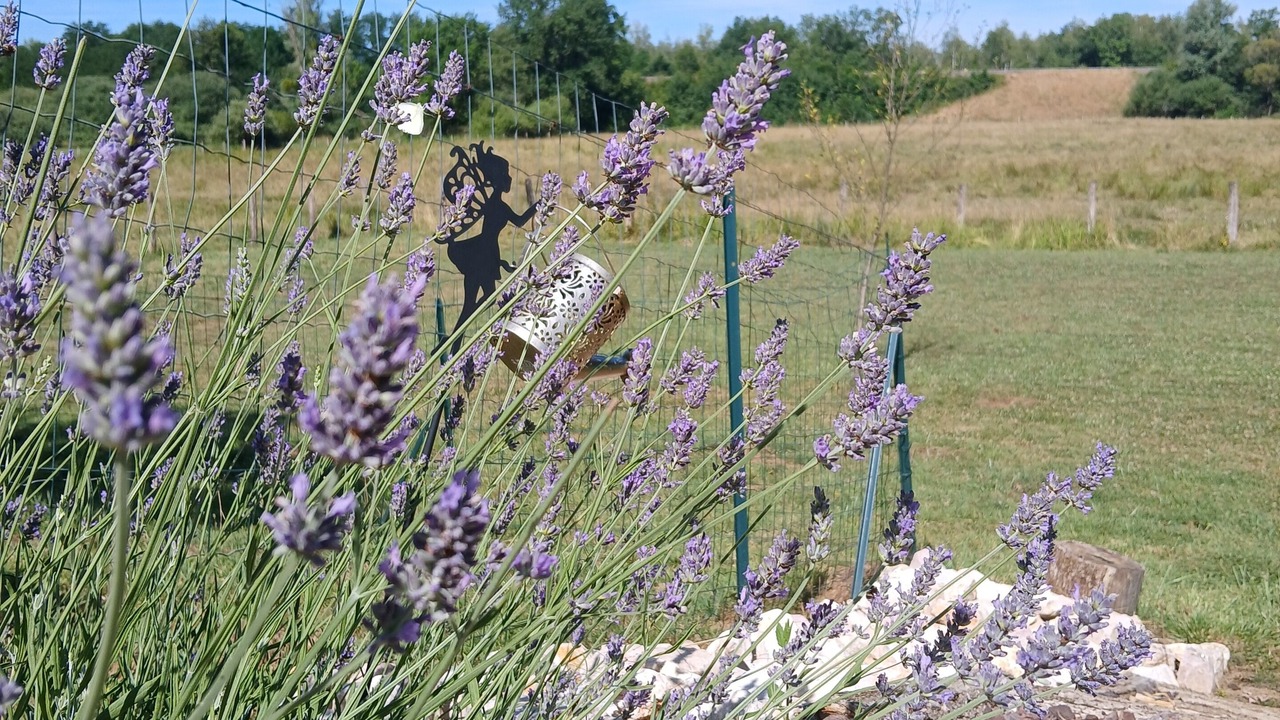 Photo of Outdoor in Amoncourt