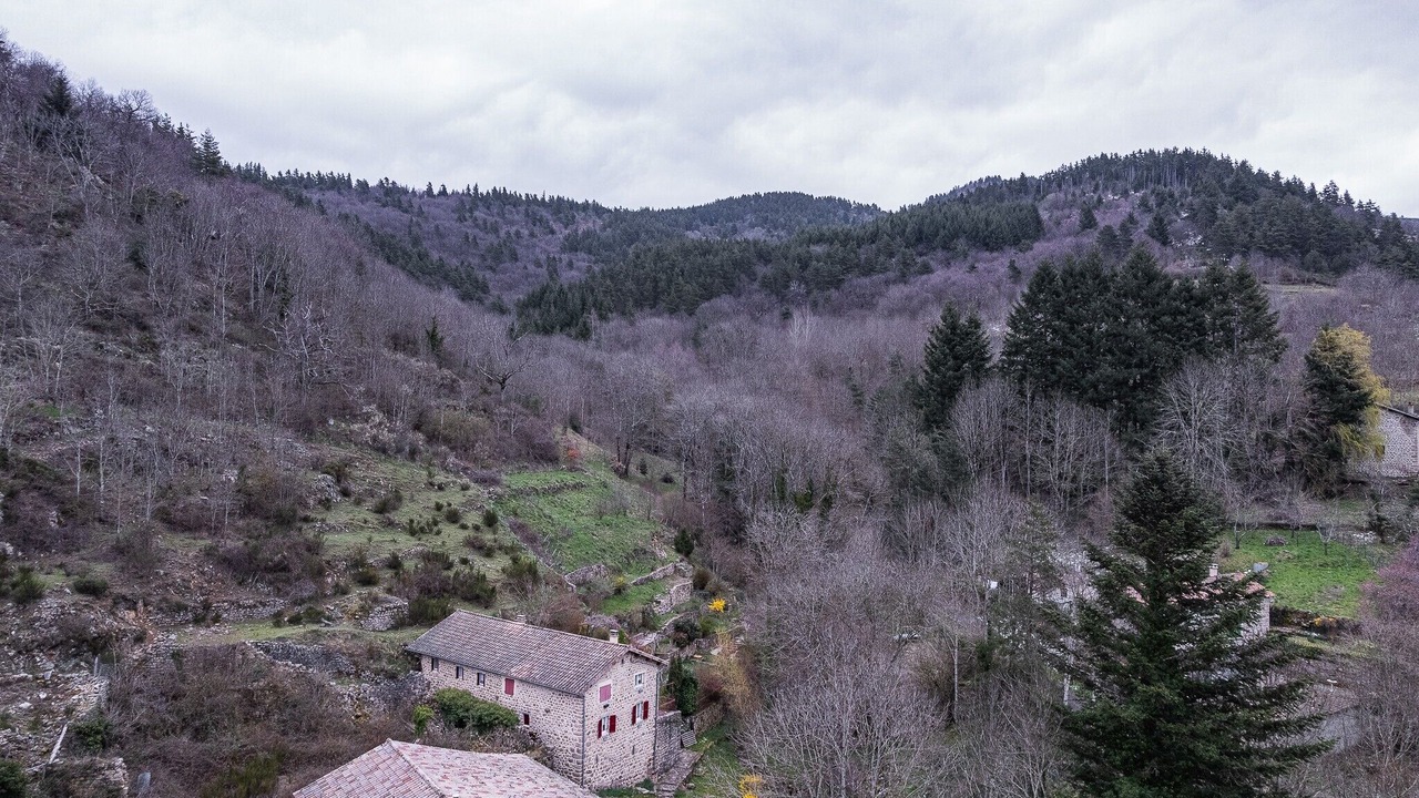 Photo of Others in Dornas
