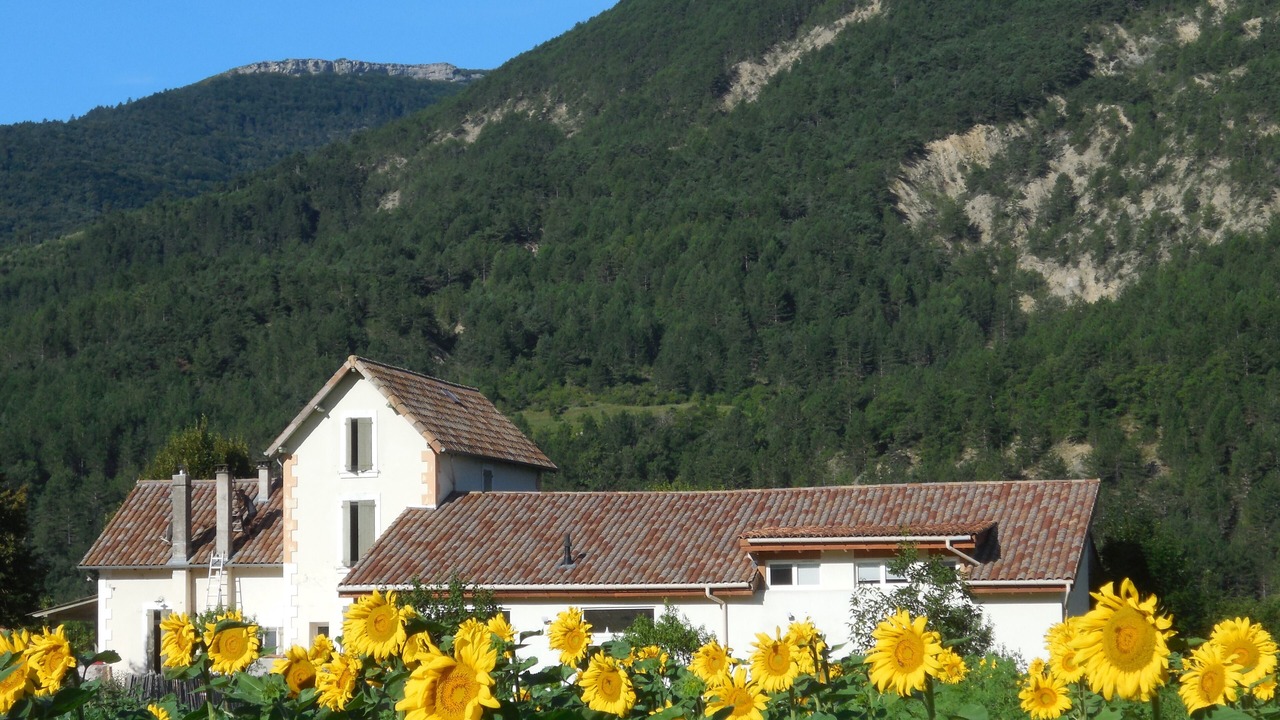 Photo of Outdoor in Die