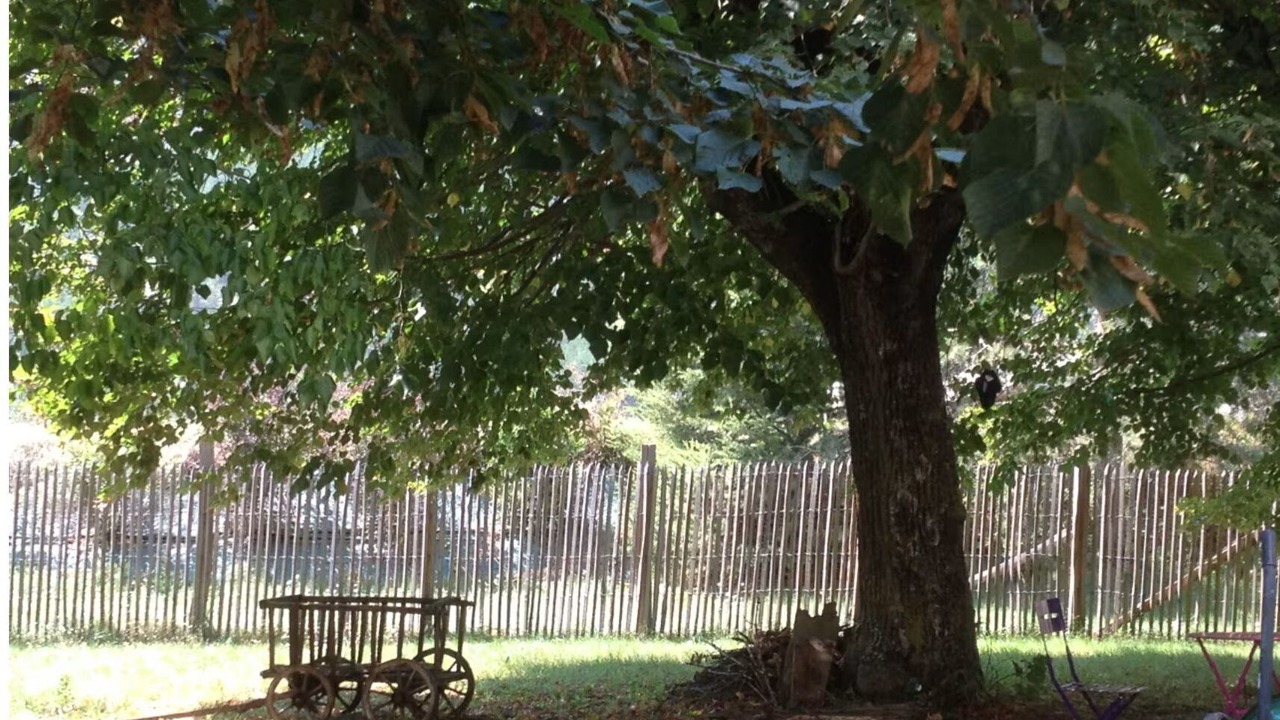 Photo of Outdoor in Die