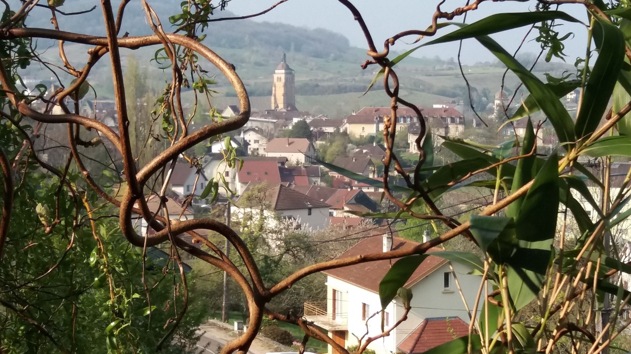 Photo of Outdoor in Arbois