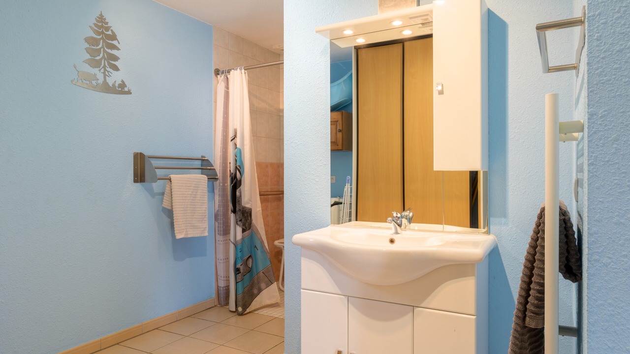 Photo of Bathroom in Rupt-sur-Moselle