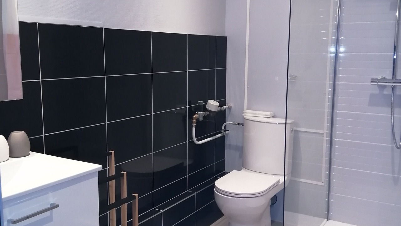 Photo of Bathroom in Vizille
