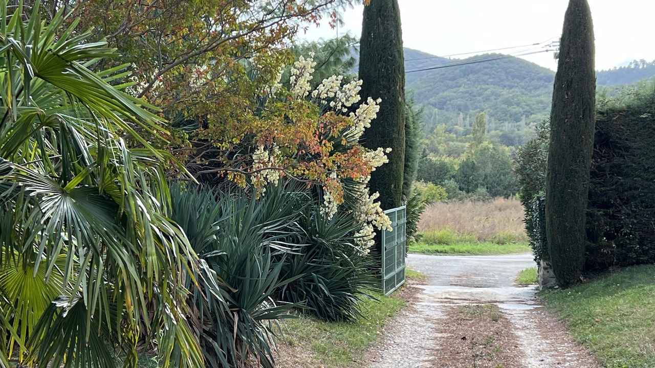 Photo of Outdoor in Espeluche
