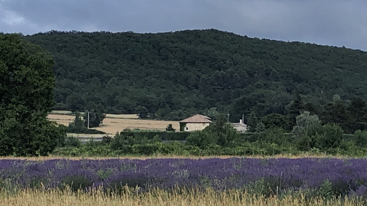 Photo of Others in Espeluche