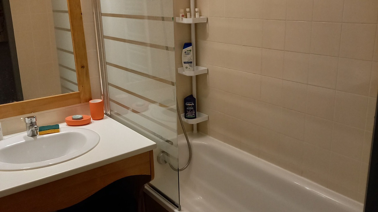 Photo of Bathroom in Chamrousse