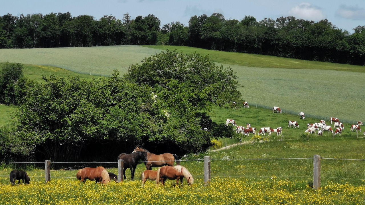 Photo of Outdoor in Le Fied