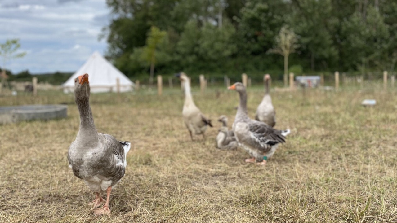 Photo of Outdoor in Thiel-sur-Acolin