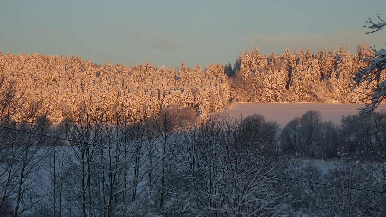 Photo of Others in Girmont-Val-d'Ajol