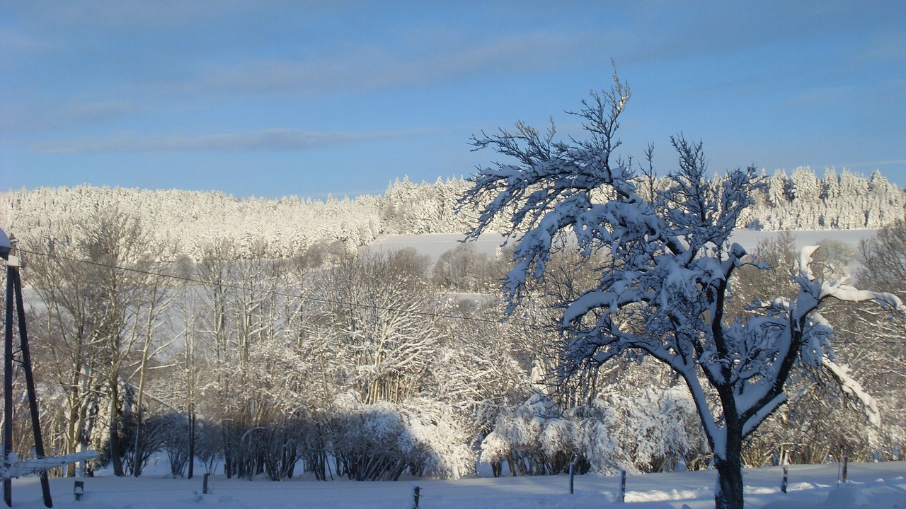 Photo of Outdoor in Girmont-Val-d'Ajol