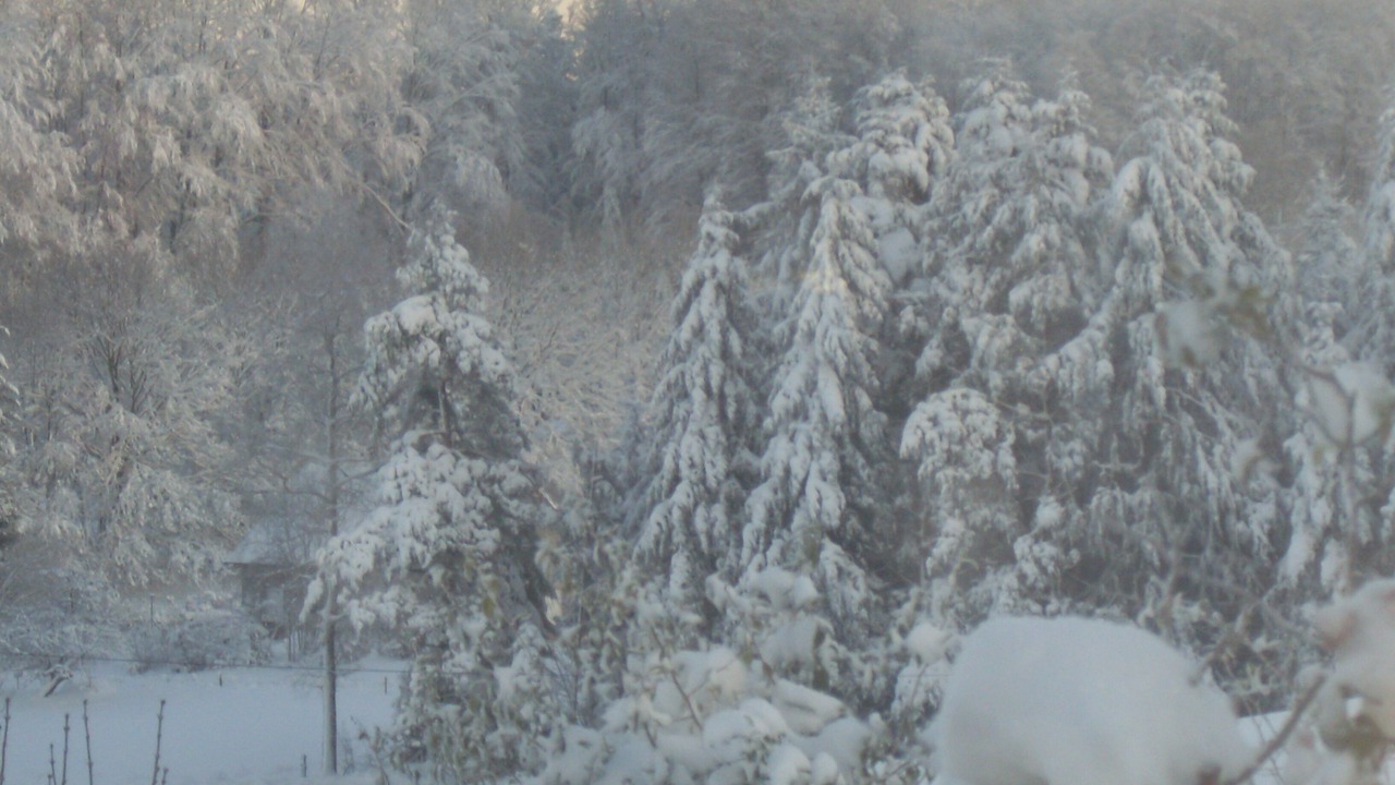 Photo of Outdoor in Girmont-Val-d'Ajol