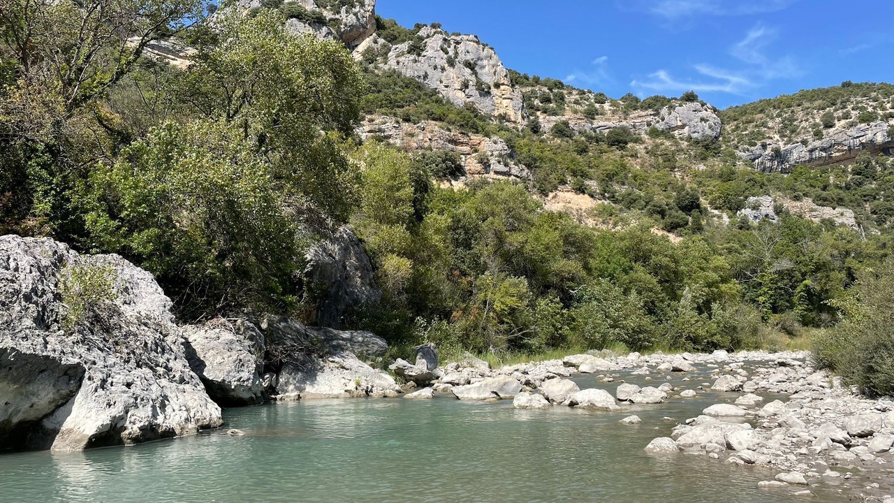 Photo of Others in Arpavon