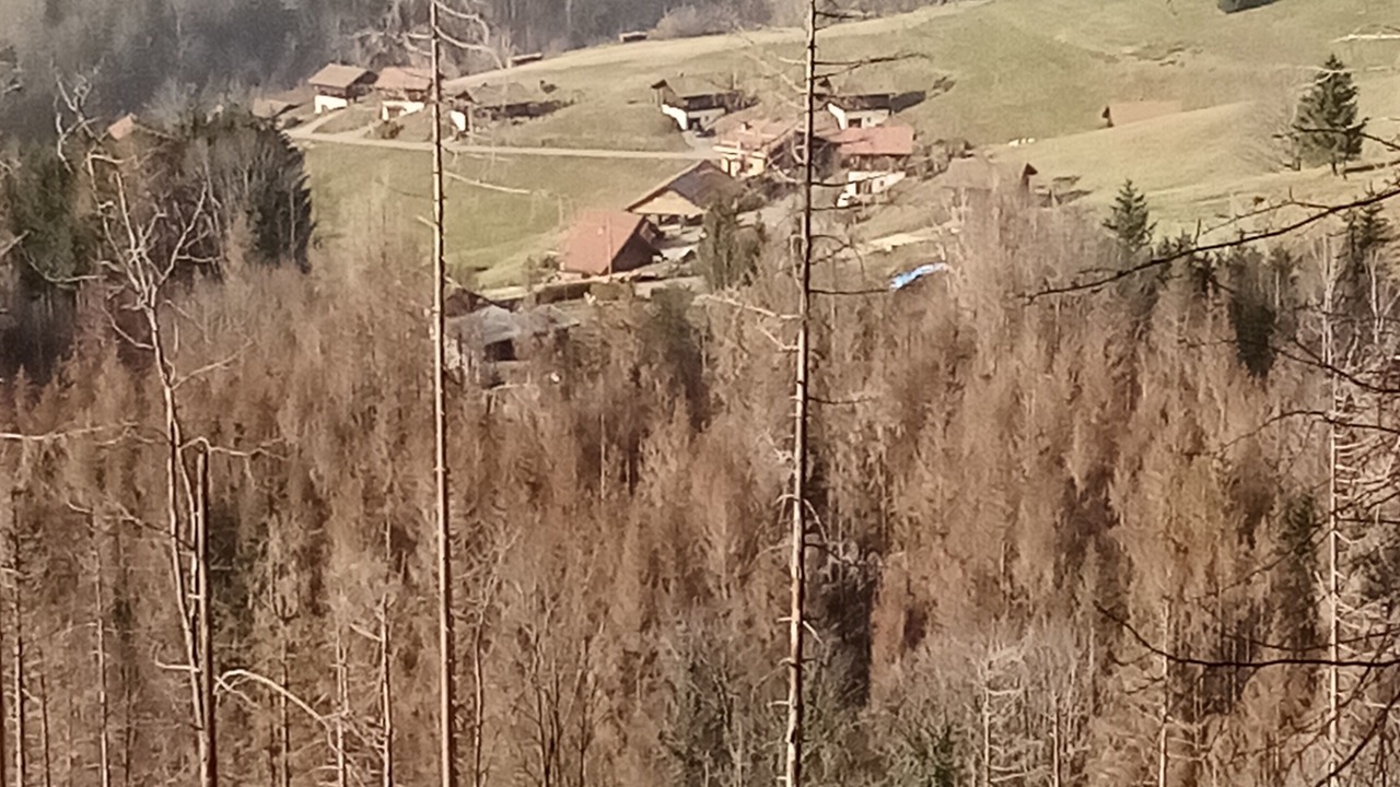 Photo of Outdoor in Fresse-sur-Moselle