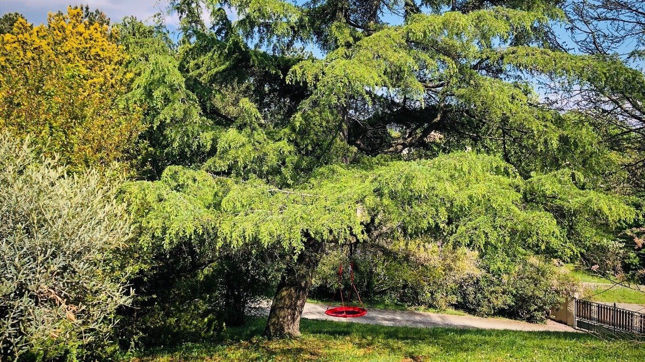 Photo of Outdoor in Montelimar