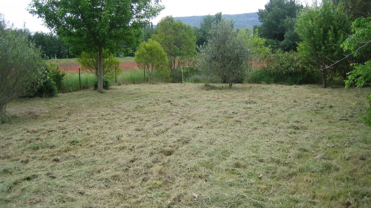 Photo of Outdoor in Saint-Paul-Trois-Chateaux