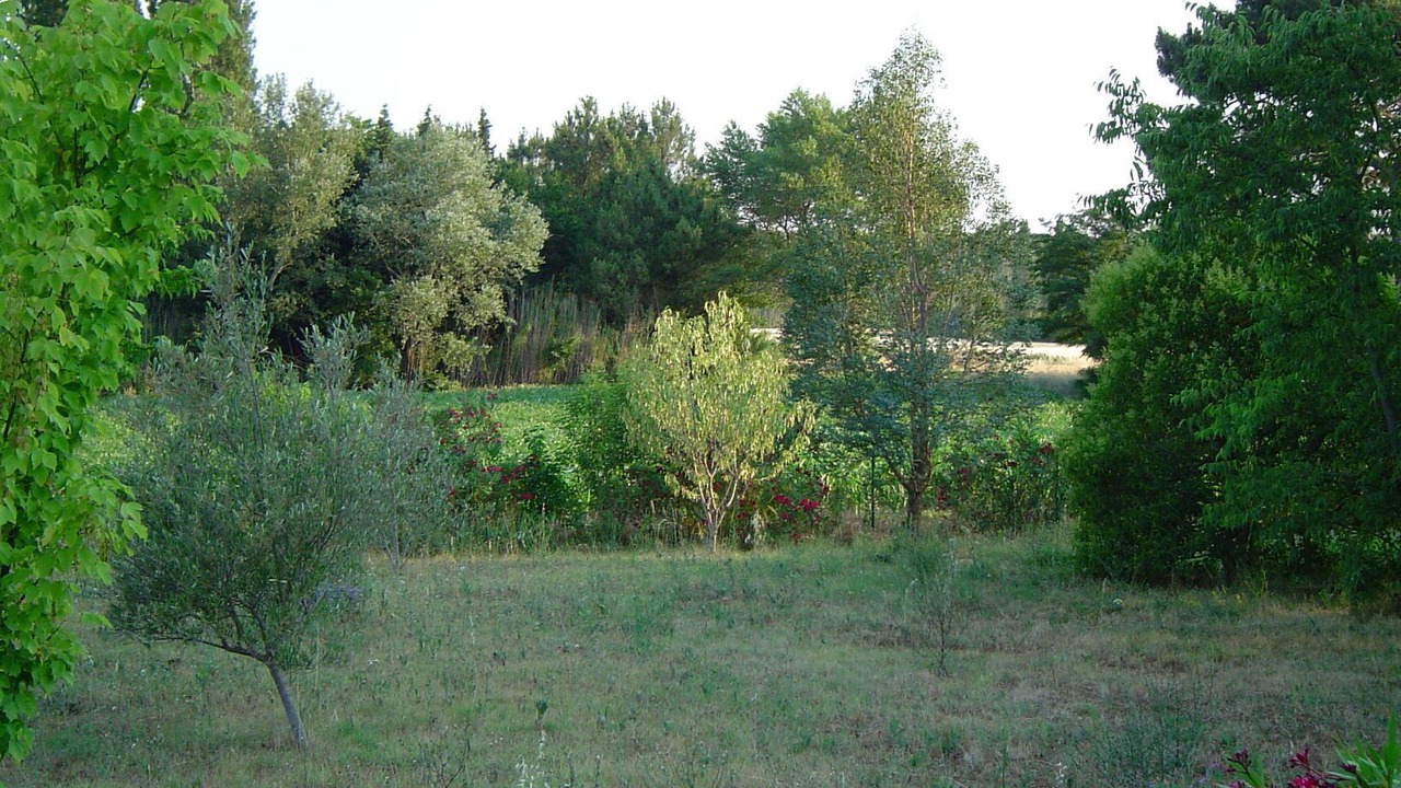 Photo of Outdoor in Saint-Paul-Trois-Chateaux