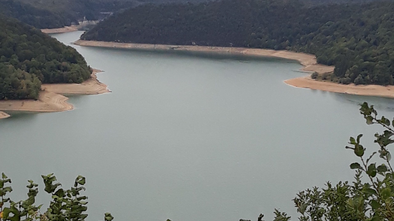 Photo of Others in Bonlieu