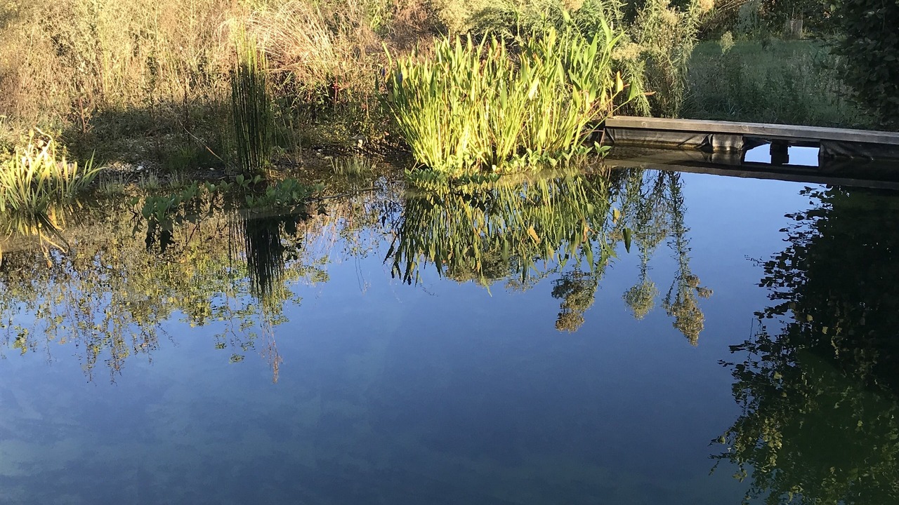 Photo of Outdoor in Saint Usuge