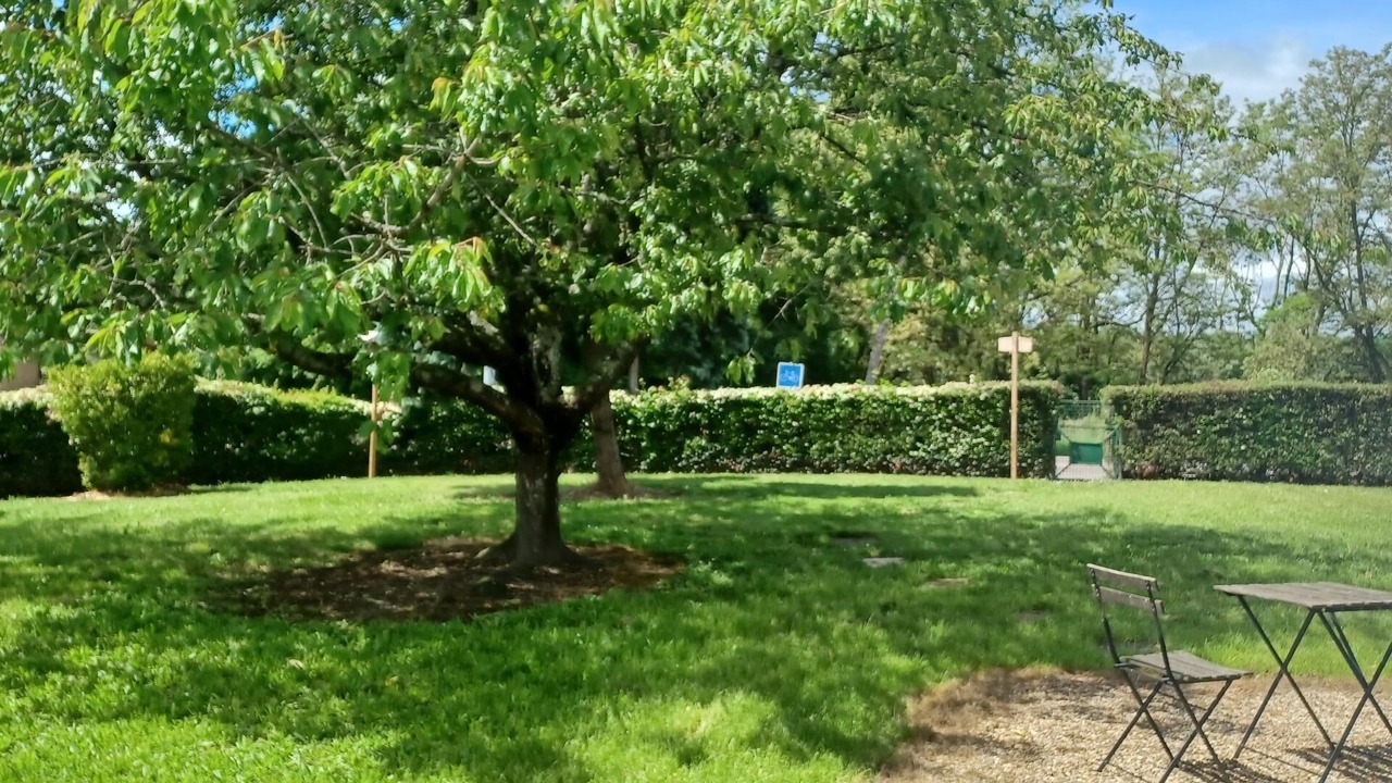 Photo of Outdoor in Montceau-les-Mines