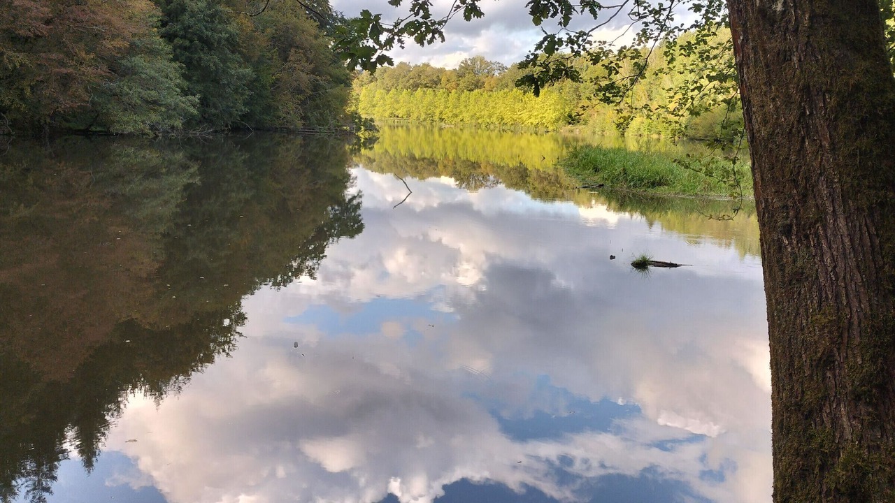 Photo of Others in Montmotier