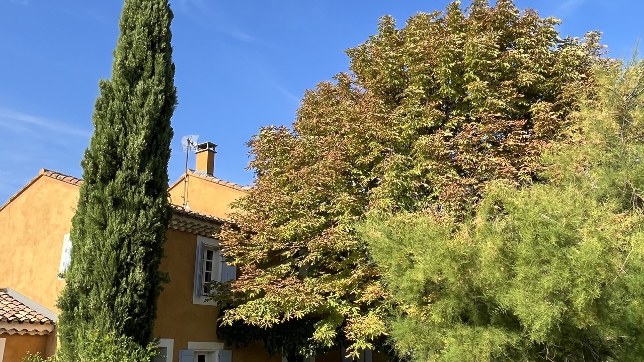 Photo of Outdoor in Saint-Pierre-de-Vassols