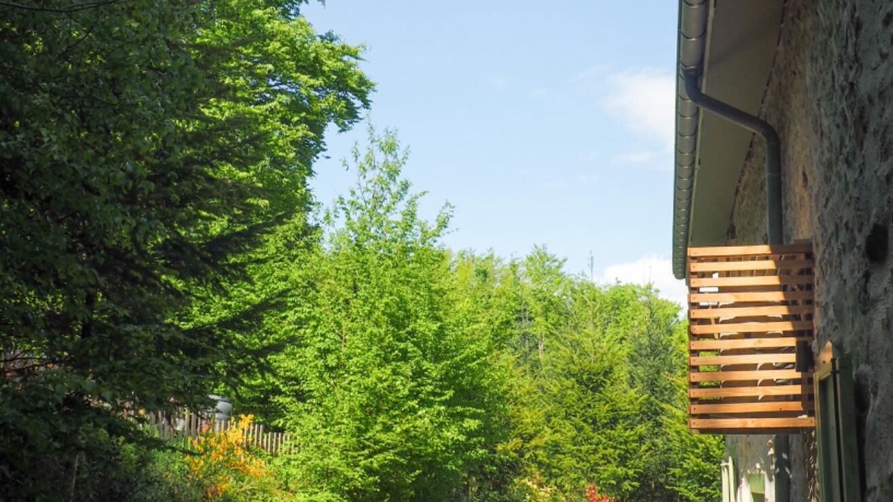 Photo of Outdoor in Saint-Bonnet-des-Bruyeres