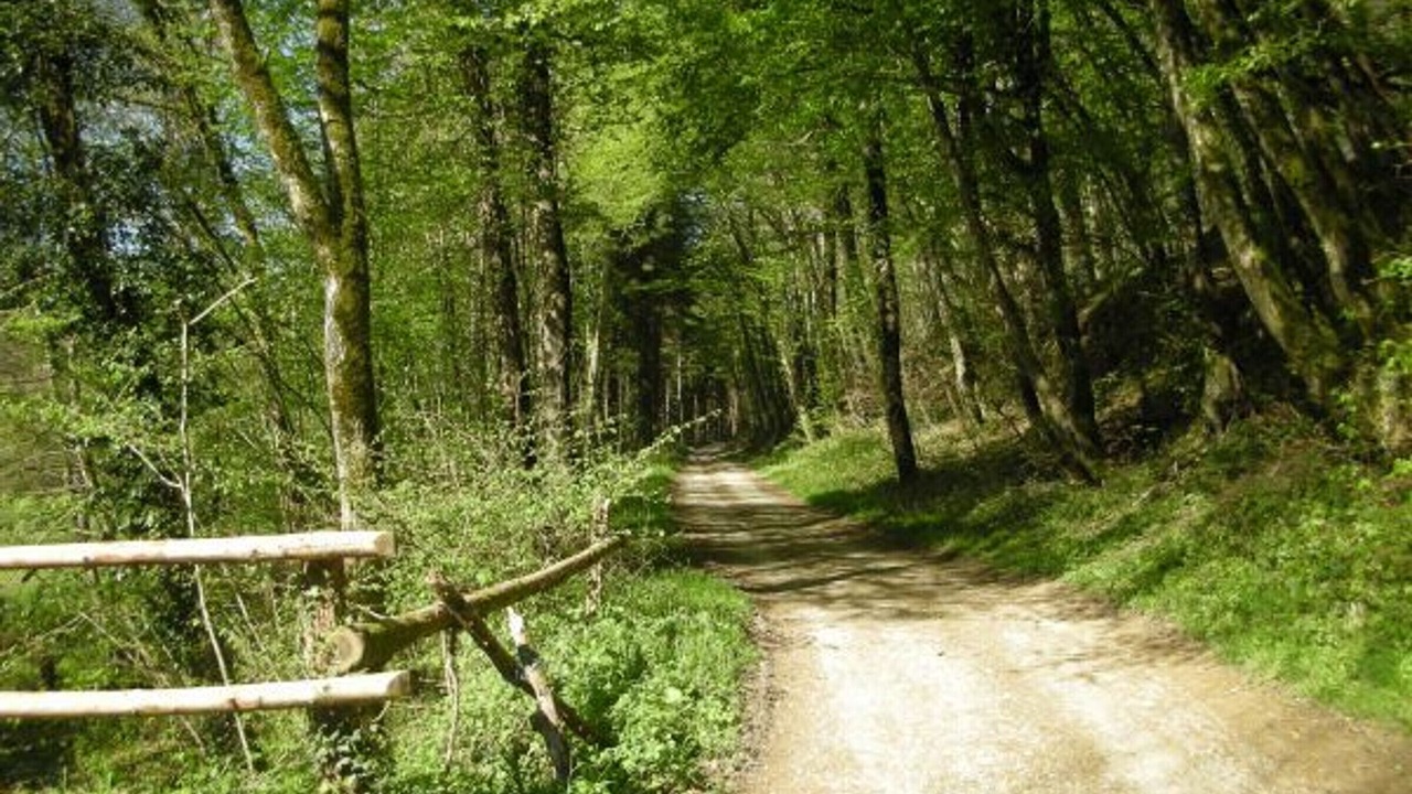 Photo of Others in Montigny-les-Cherlieu