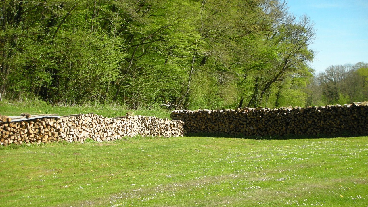 Photo of Outdoor in Montigny-les-Cherlieu