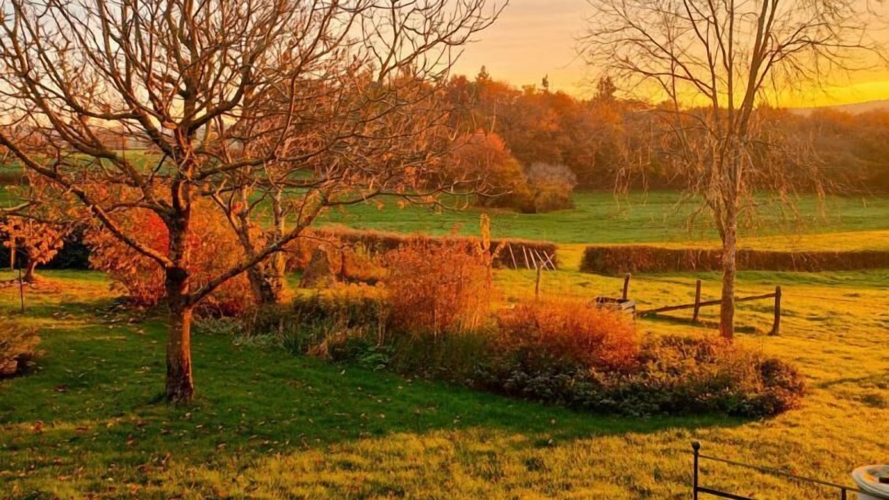 Photo of Outdoor in Viry