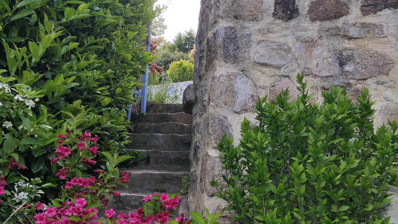 Photo of Outdoor in Saint-Prix