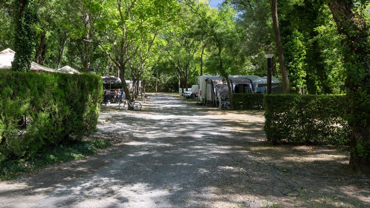 Photo of Outdoor in Lavilledieu