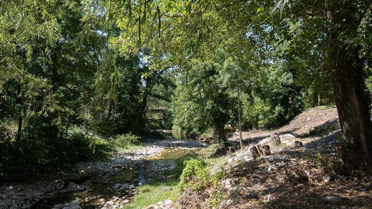 Photo of Others in Lavilledieu