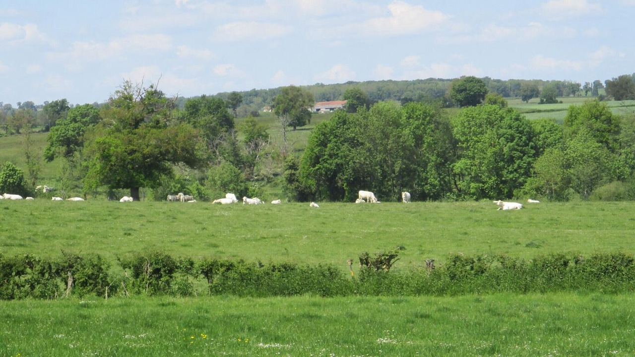 Photo of Others in Cressanges