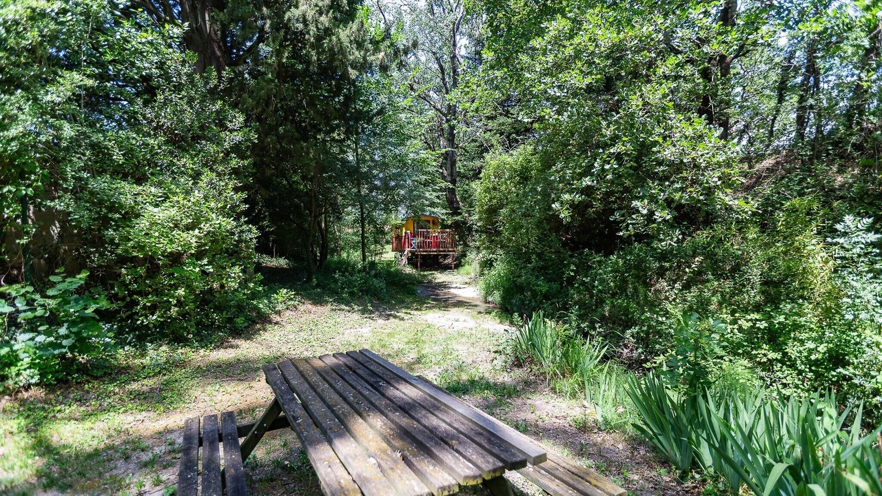 Photo of Outdoor in Roynac