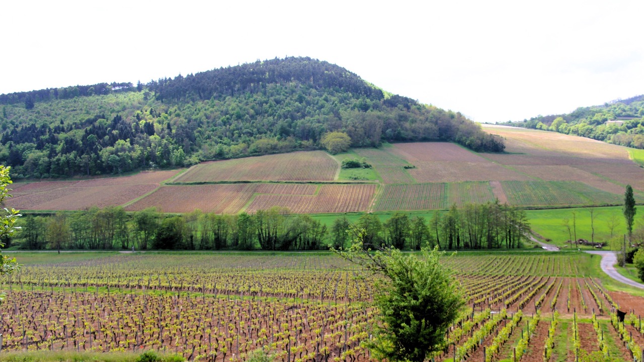 Photo of Others in Maconnais Beaujolais Agglomeration
