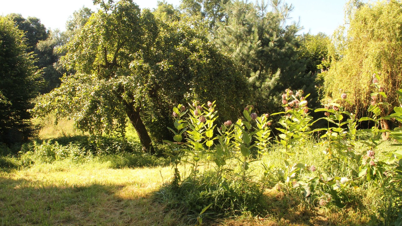 Photo of Outdoor in Pisseloup
