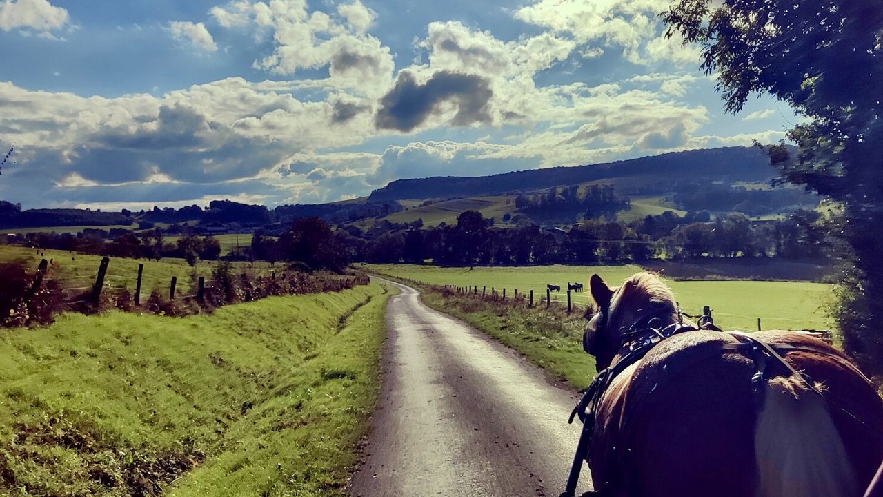 Photo of Others in Graffigny-Chemin