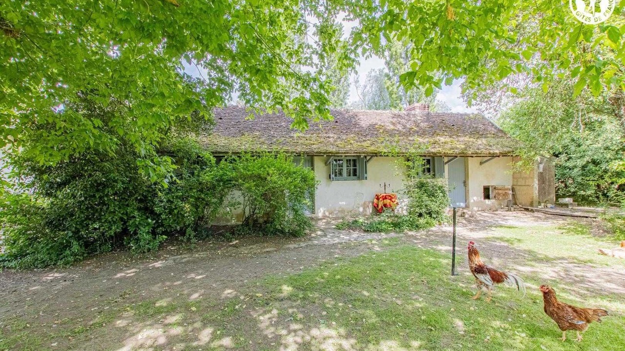 Photo of Outdoor in La Chapelle-Saint-Sauveur