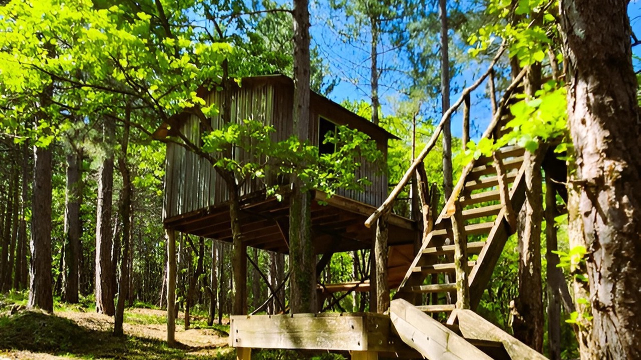 Photo of Outdoor in Puy-Saint-Martin