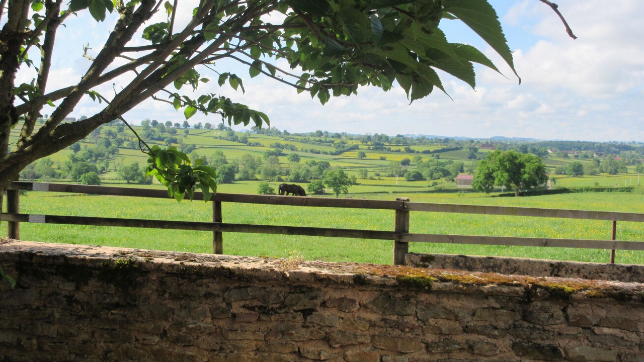 Photo of Outdoor in Viry