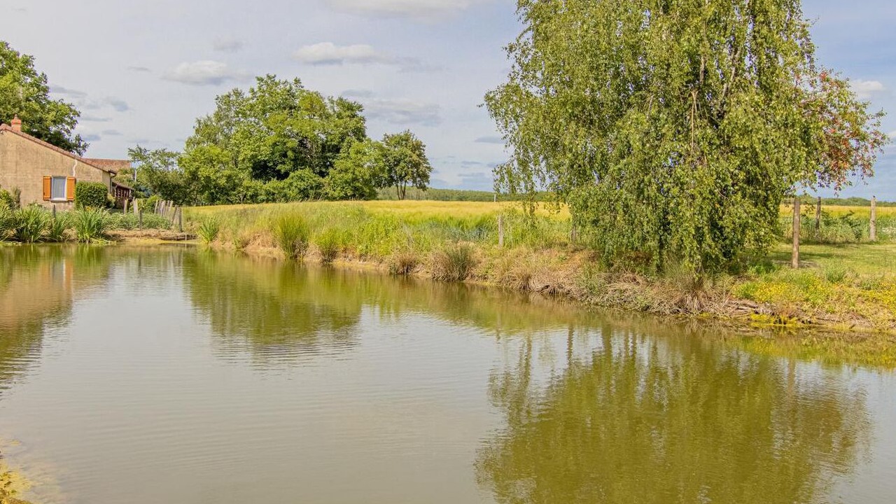 Photo of Outdoor in Saint-Didier-en-Bresse